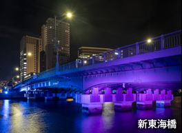 天王洲界隈橋梁ライトアップ | ライトアップ演出用照明器具(LEDカラー演出照明)|納入事例 |