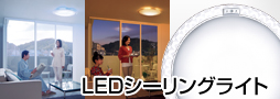 LED�V�[�����O���C�g