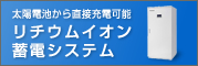���`�E���C�I���~�d�V�X�e��