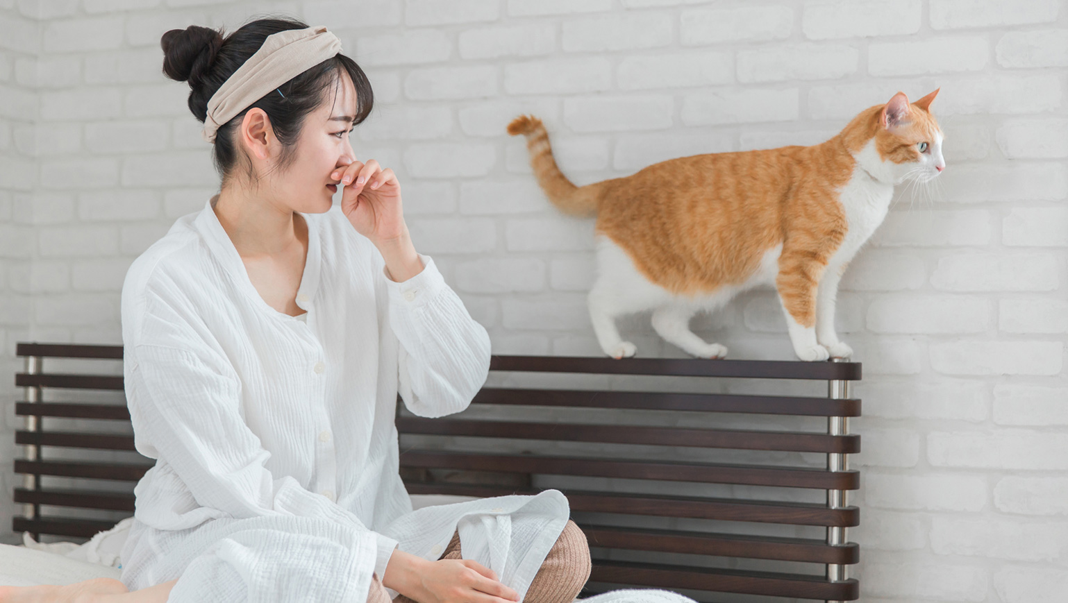 猫の臭い（ニオイ）対策とは？主な原因やニオイを抑えるポイント