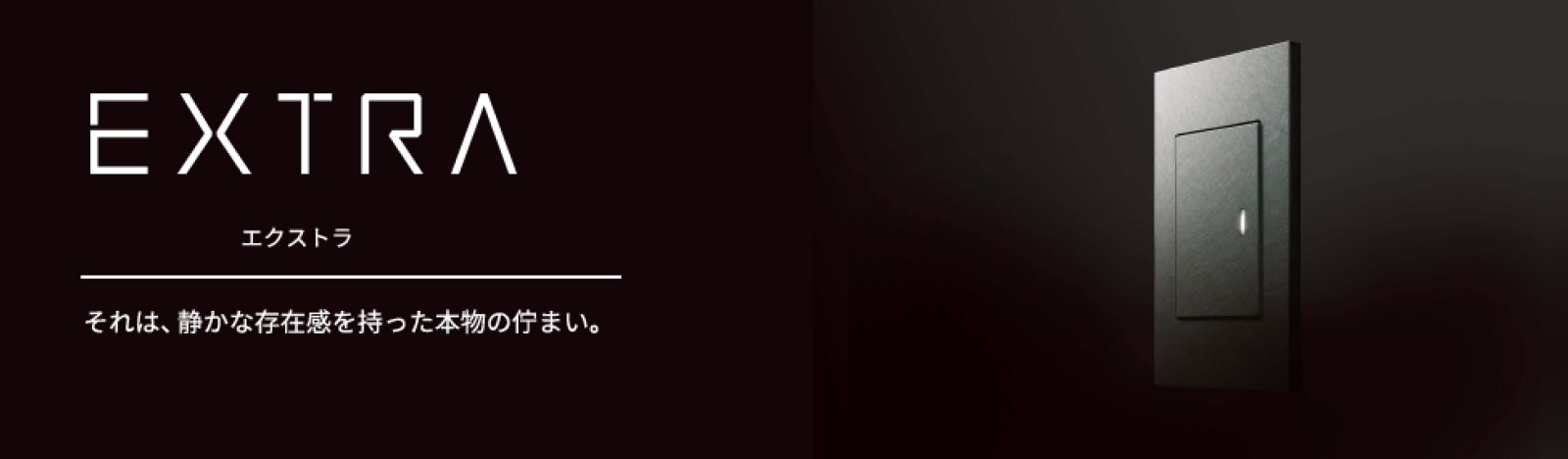 エクストラシリーズ