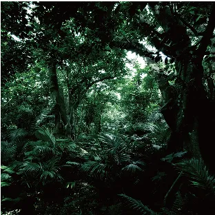 環境配慮を重ねること