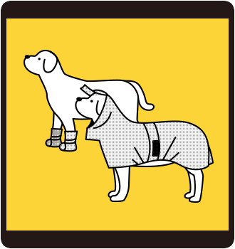 ペットの避難グッズ