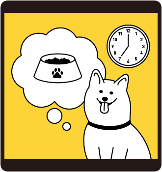 ごはんや散歩の時間をずらす