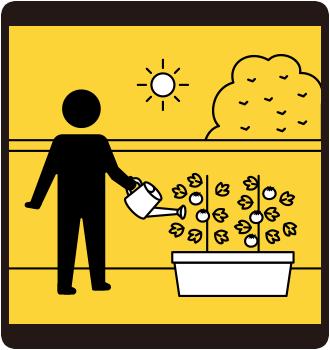 プランター菜園をはじめよう