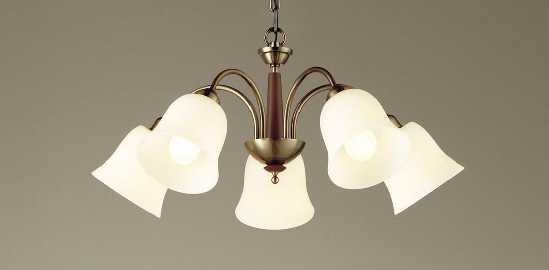 HEM5178C | 照明器具検索 | 照明器具 | Panasonic