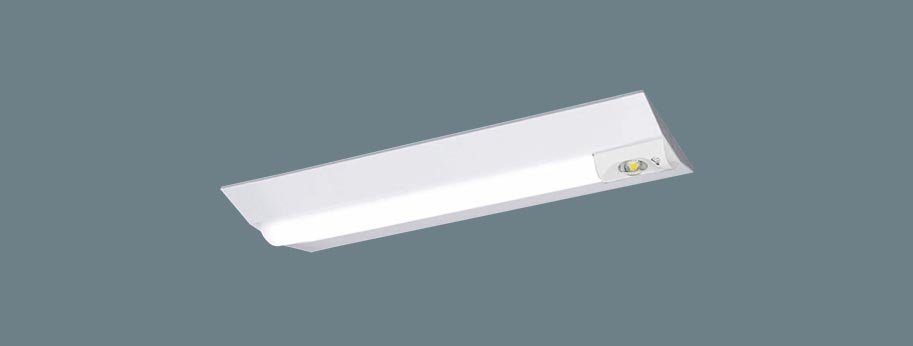 パナソニック XLG201DGNK LE9 非常用照明器具 直付 20形 800lm型 昼白色 30分間 自己点検機能 非常時一般出力 富士型 FL20形1灯相当 器具 ライトバー