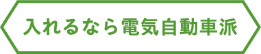 入れるなら電気自動車派