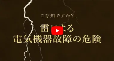 雷による被害と「かみなりあんしん  ばん」