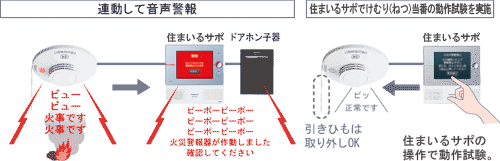 AĉxƏZ܂T|łނi˂jԂ̓쎎{