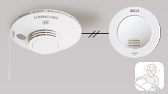 ΍Дłm点uxuU[vBiʔj