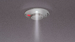 Ƃ炵ĖԂ̔T|[gBtiAqj