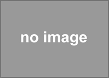 プラスチックケース