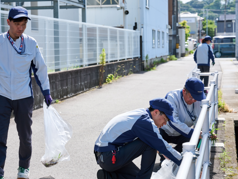 クリーンアップ作戦の写真
