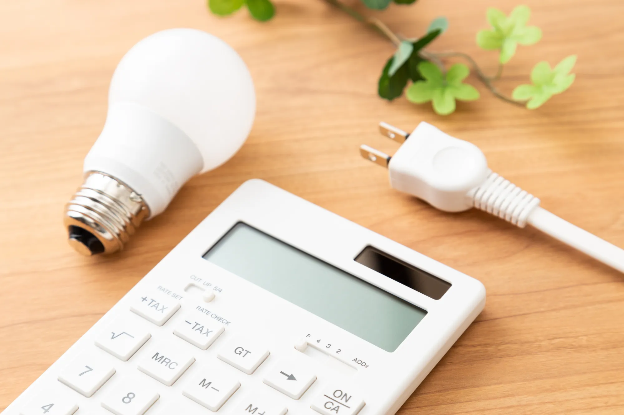 電力会社を選ぶ際に見るべき5つのポイント