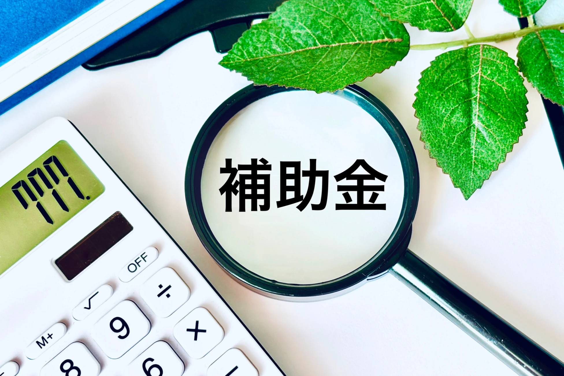 CEV補助金の対象・申請方法・注意点