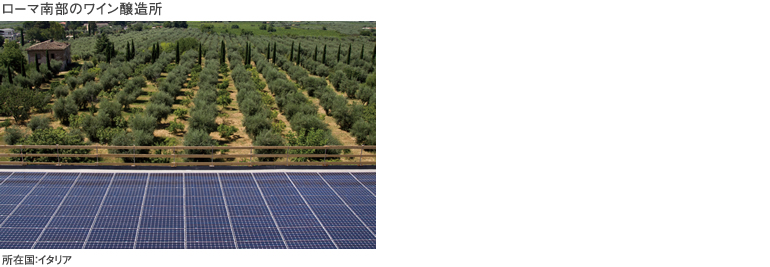 ローマ南部のワイン醸造所