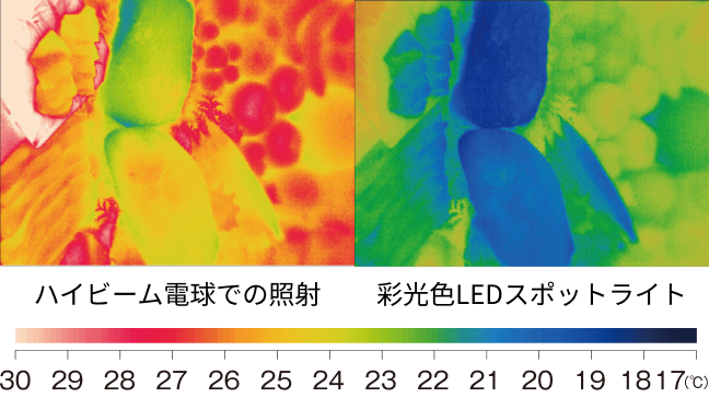 サーモグラフによる照射物の温度比較の画像