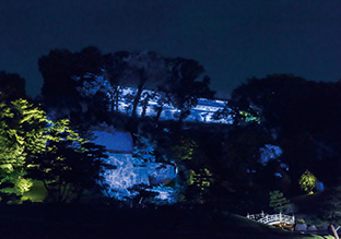 金沢城 玉泉院丸庭園 | ライトアップ演出用照明器具（LEDカラー演出照明）｜納入事例 |