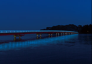 松島町福浦橋 | ライトアップ演出用照明器具（LEDカラー演出照明）｜納入事例 |