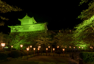 鶴山公園 ライトアップ照明更新工事 | ライトアップ演出用照明器具（LEDカラー演出照明）｜納入事例 | 