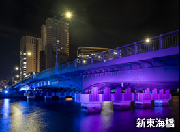 天王洲界隈橋梁ライトアップ | ライトアップ演出用照明器具（LEDカラー演出照明）｜納入事例 |
