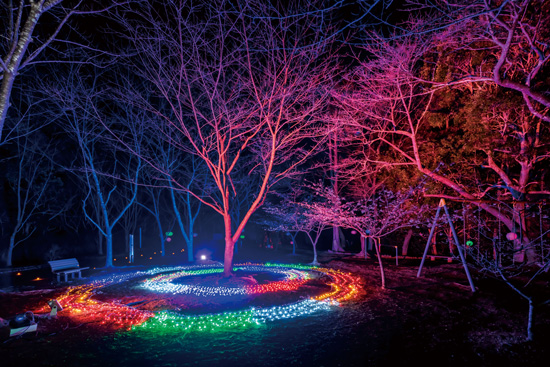 為松公園ライトアップ（四万十市郷土博物館） | ライトアップ演出用照明器具（LEDカラー演出照明）｜納入事例 | 