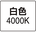 白色4000K