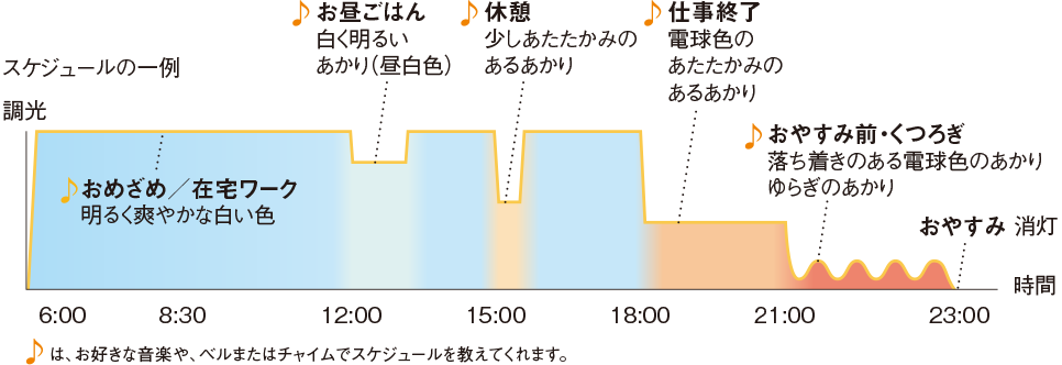 スケジュールの一例