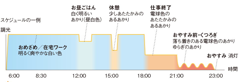 スケジュールの一例