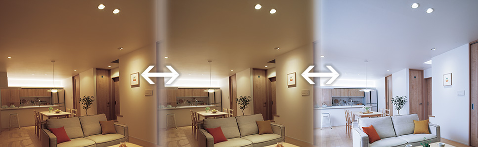 Lighting Image