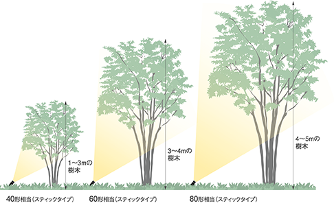 1〜3mの樹木には40形相当。3〜4mの樹木には60形相当。4〜5mの樹木には80形相当。