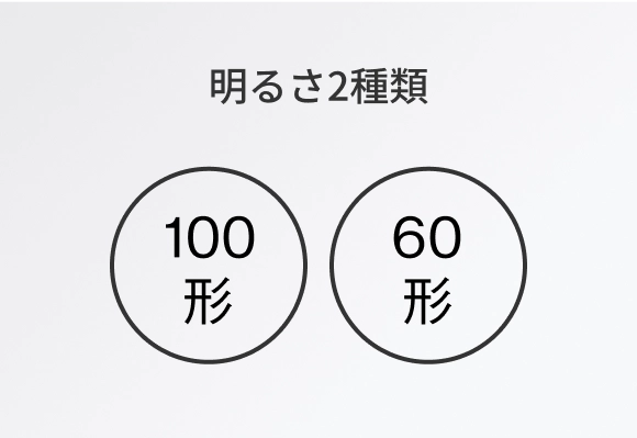 明るさ2種類:100型,60型