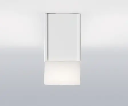 集光タイプの画像