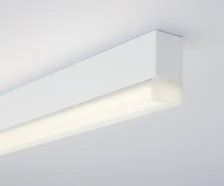 集光タイプの画像