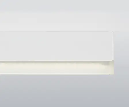 集光タイプの画像