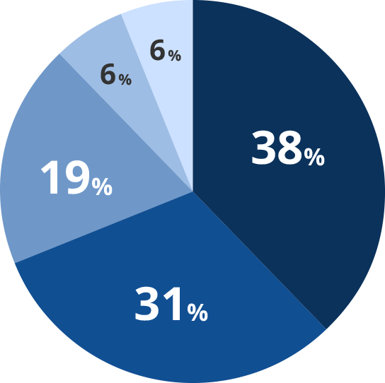 38%, 31%, 19%, 6%, 6%