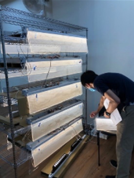 現地モックアップ