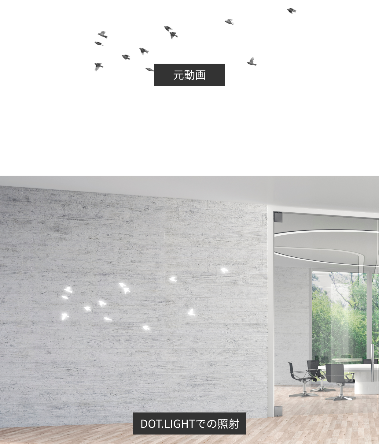 鳥のシルエット動画を色調反転・画角調整し、DOT.LIGHTで壁面に光として投影した比較画像
