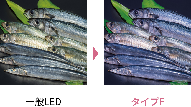 鮮魚の比較写真