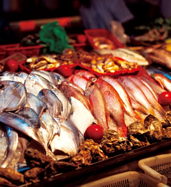 食材それぞれに合わせた光色の照明イメージ画像（鮮魚）