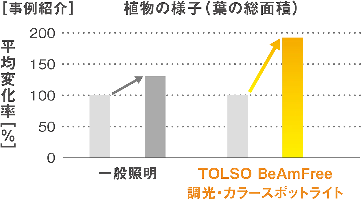 「一般照明」と「TOLSO BeAmFree 調光・カラースポットライト」の植物の育成に作用する光について、葉の総面積の平均変化率（%）を比較した棒グラフ。一般照明よりTOLSO BeAmFree 調光・カラースポットライトの方が大幅に成長率が高いことがわかりました