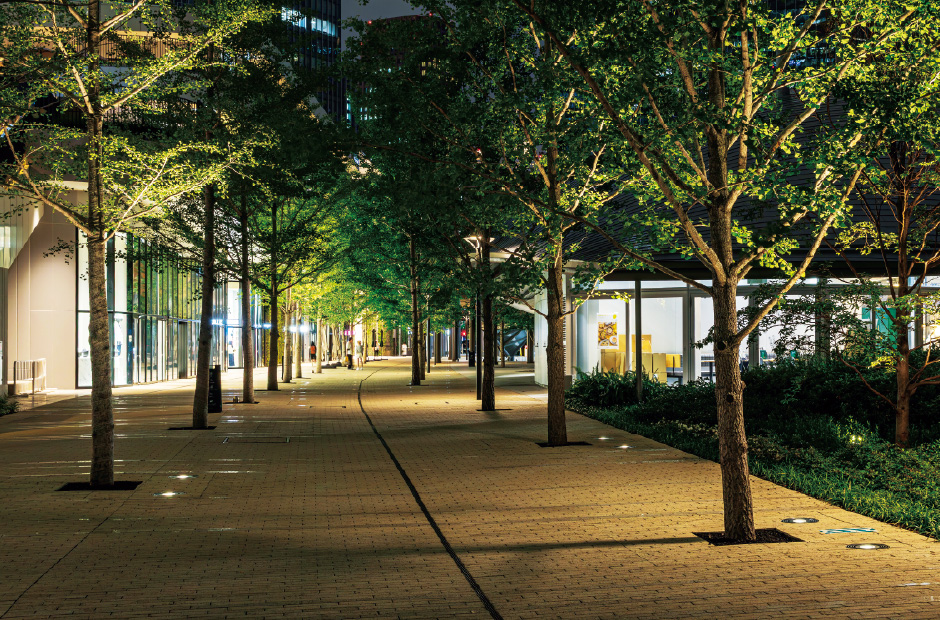 並木道に人びとを誘導する樹木のライトアップ