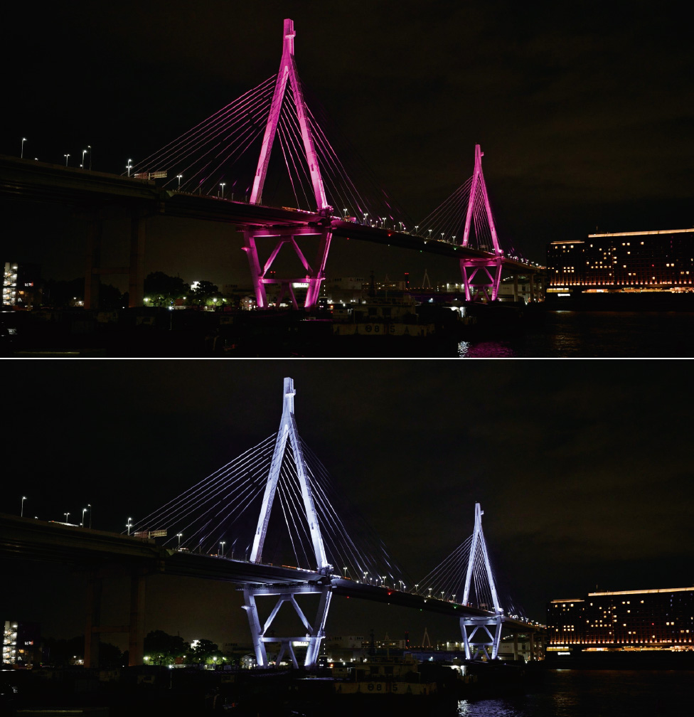 季節ごとのコンセプトに基づいた色（季節カラー）と白色が10分間ごとに切り替わる