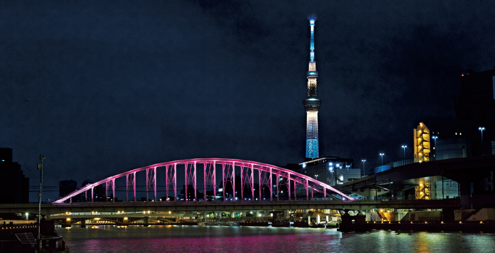 【特別演出】白色からピンクのグラデーションが揺らぐ