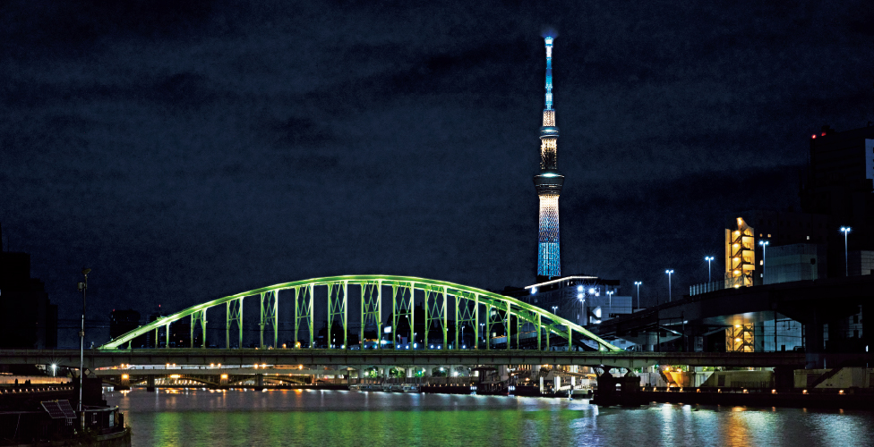 【特別演出】淡い黄緑から濃い緑へと光が動く