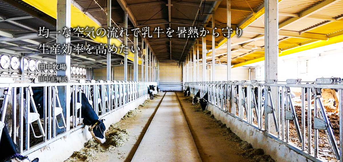 均一な空気の流れで乳牛を暑熱から守り生産効率を高めたい 田中　牧場 田中 正輝　氏