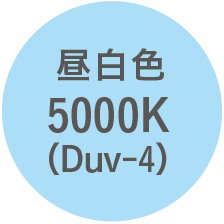 昼白色 500K（Duv-4）