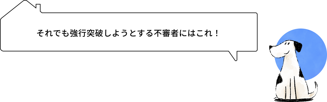 それでも強行突破しようとする不審者にはこれ！