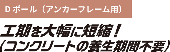 Dポール(アンカーフレーム用) 後期を大幅に短縮！(コンクリートの養生期間不要)
